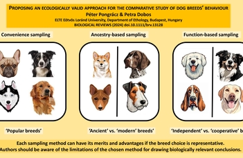 Comparative ethology of dog breeds