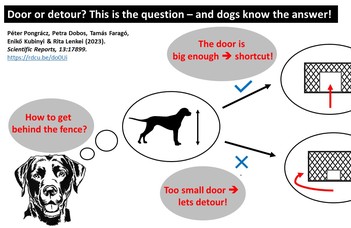 Door or detour? This is the question – and dogs know the answer!