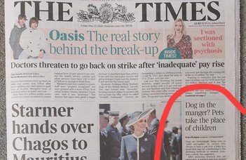 How modern dog ownership has redefined family and parenting